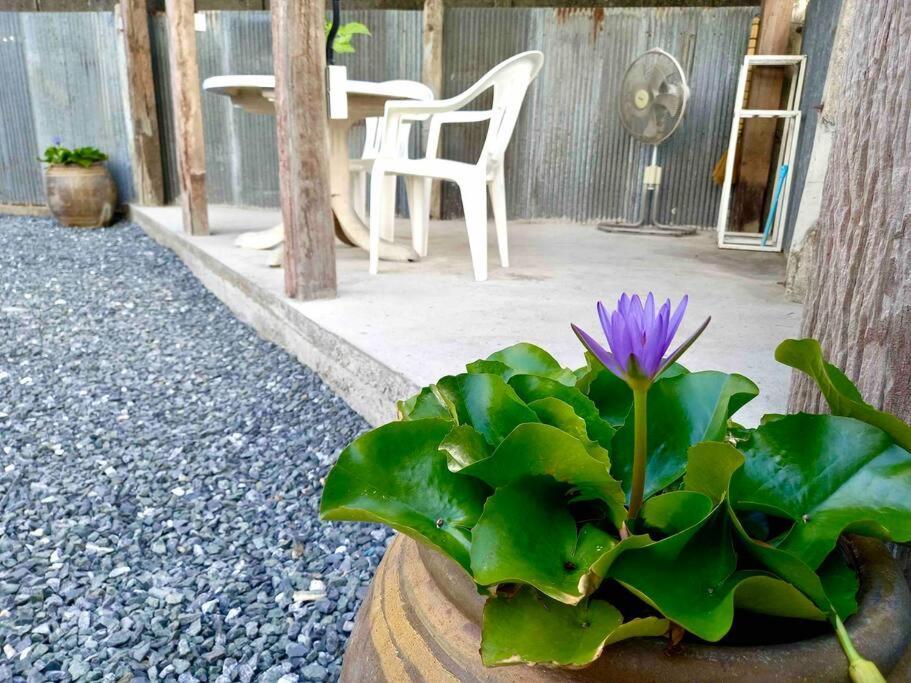 Grandma'S House Villa Chiang Mai Exterior foto